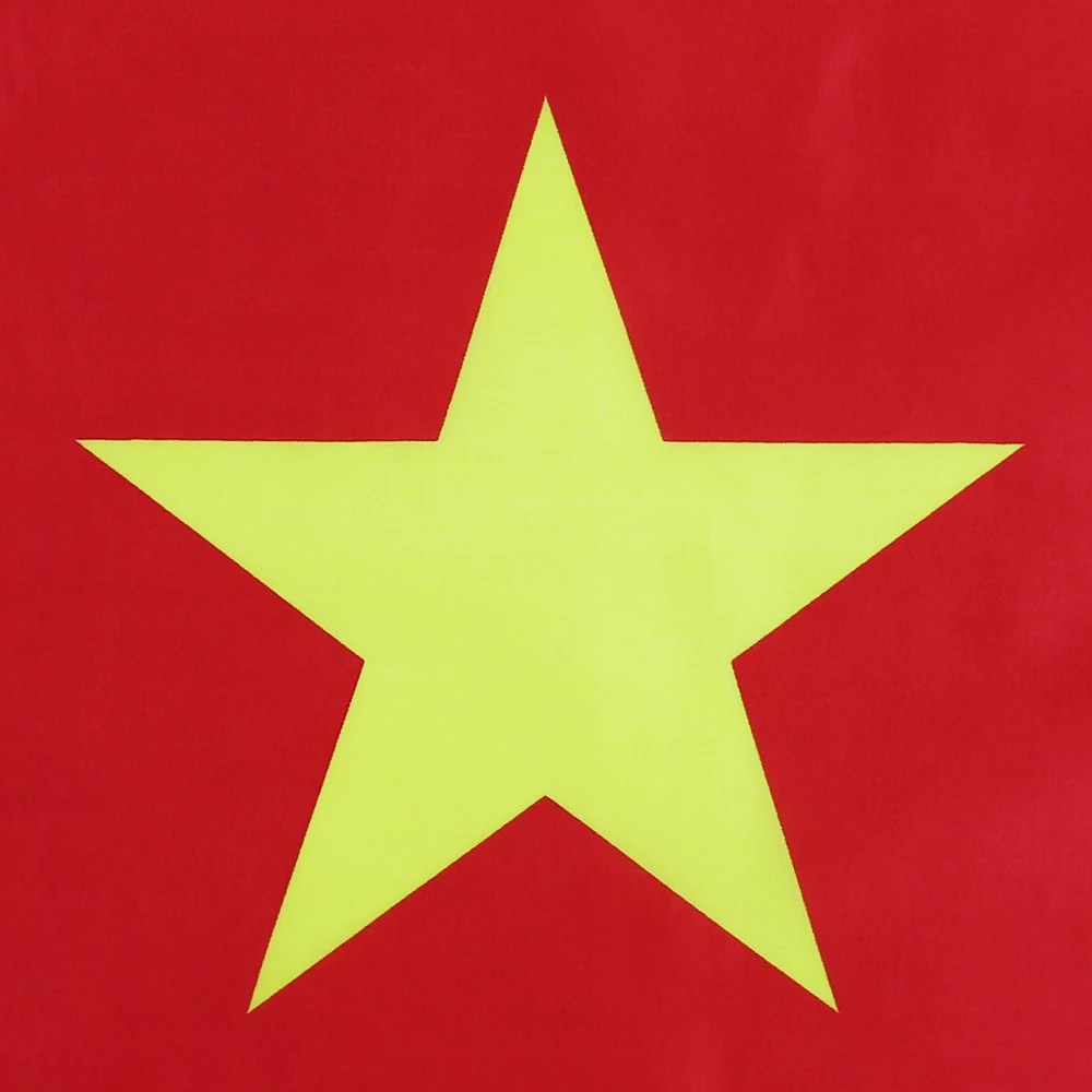 Flagnshow Kamerun Vlajka 3X5 FT Visí Kamerunskej Národné Vlajky Polyester s Mosadznými Priechodky, 3x5 Nohy Vlajky na Ozdobu